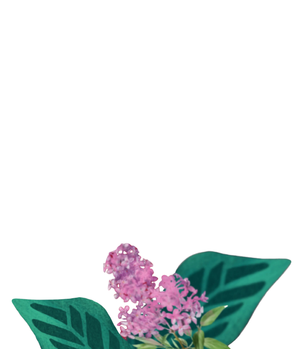 flor 1