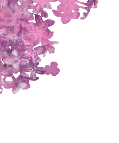 flor 2 (2)